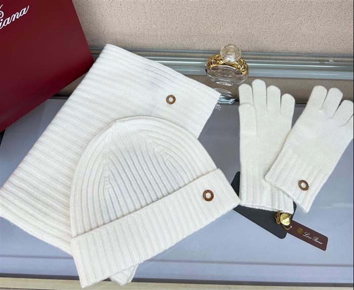 2026116112023672 100